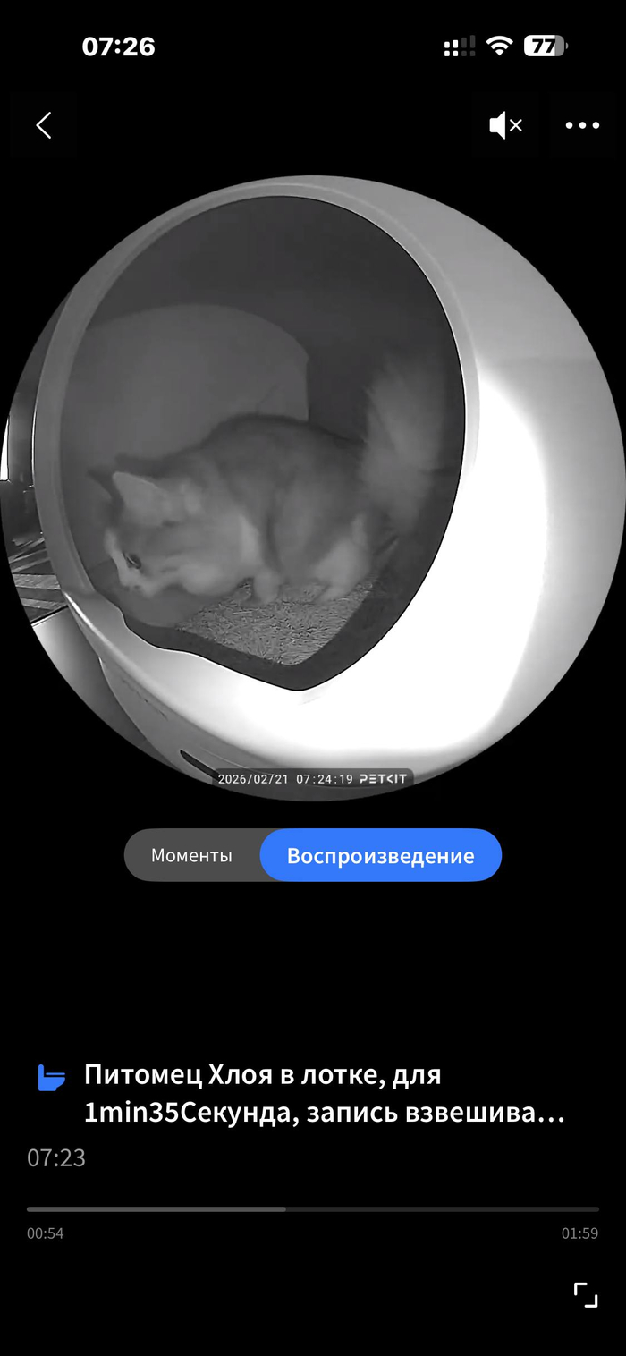 ��� ����