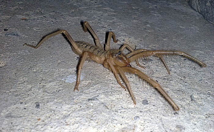 ���� ��������� �������� �������� � � ��������, �� ����� �������, ��� ��� ����������� �� �������� ��������� ������.