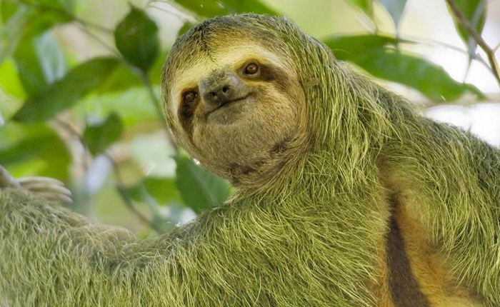 ��� ��������? ��������� ���� ���������� �������?