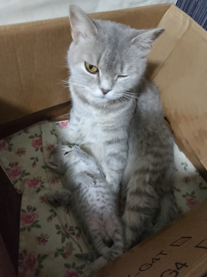 ���������� ���� � �����)