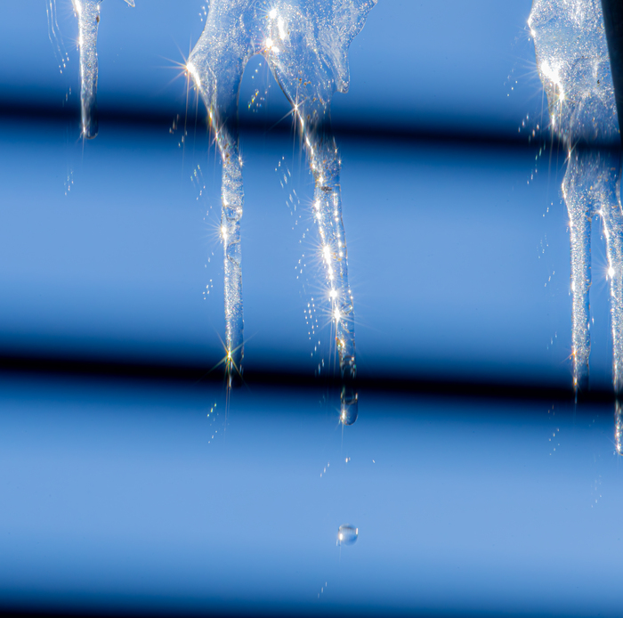 ������ ��� �������� ��� �� ��������