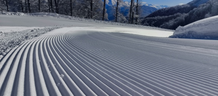 �������� �����