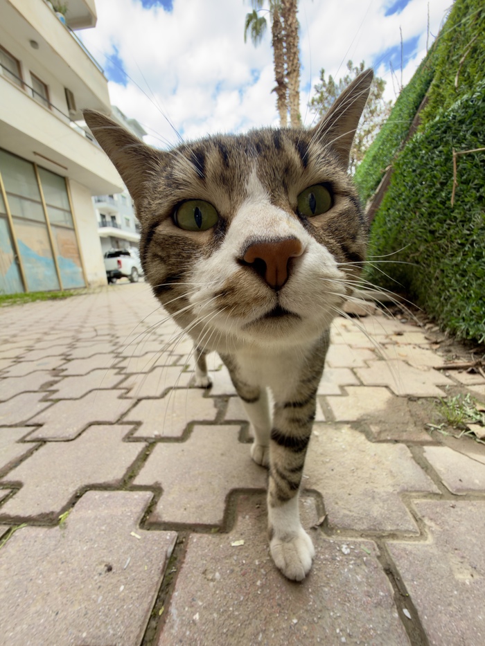 ������� ������ � �������� ��������. ����� ������� ����������� ��� ����.