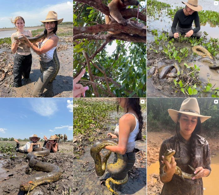 ����� ������...