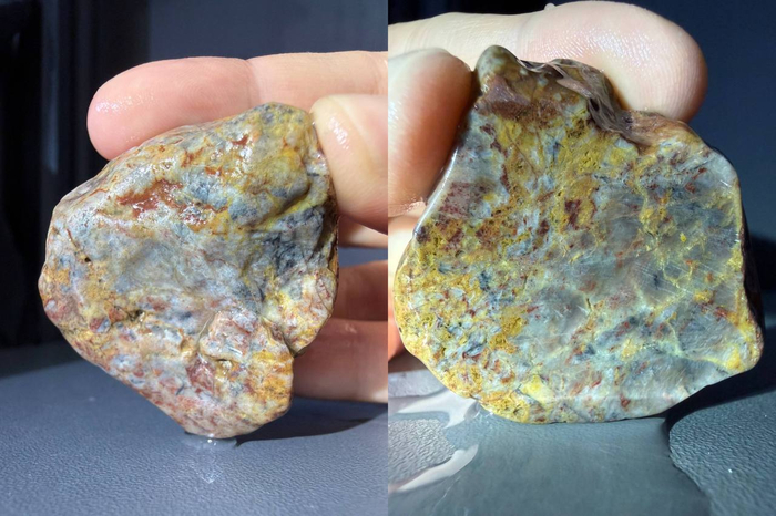 Ƹ���� �������