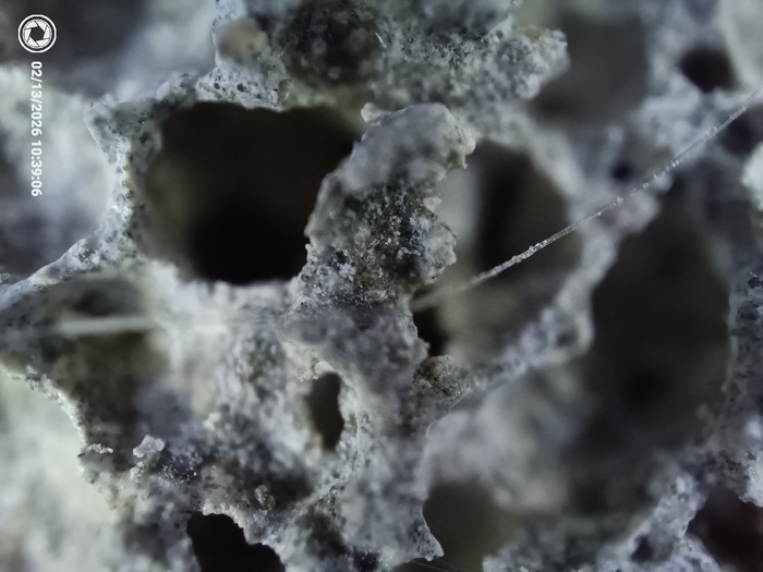 �������������� �������������