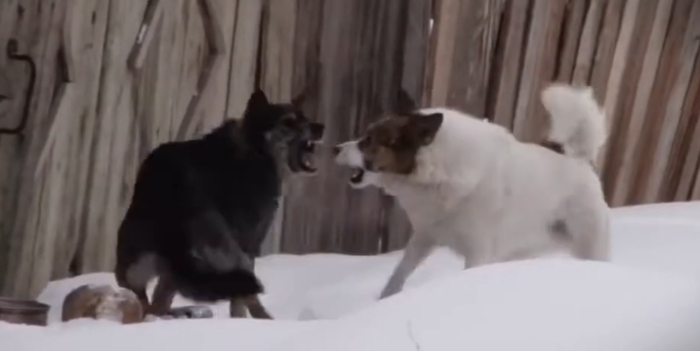 � ���������� ����� ������� �����, ������� �������� ���������� ����������� ��������� �����