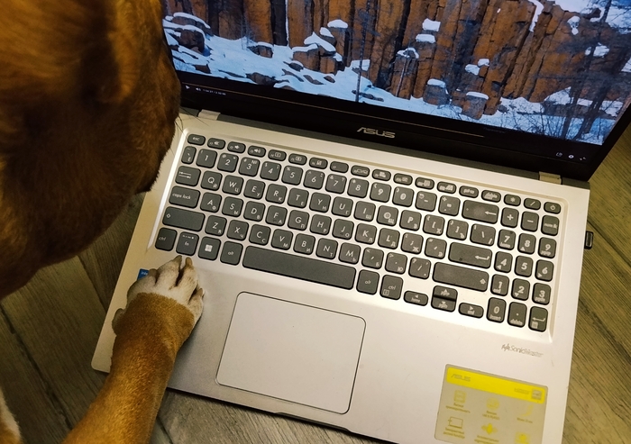 �� ������� ������