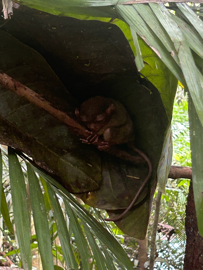 � ������ �������... � ������ �������... ������ ����, �������...