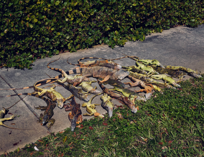 ��� ����� �� �� ��������� ����������.