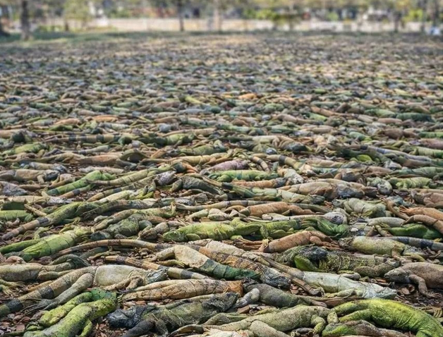 �������, �������� ������ � ���� �����.