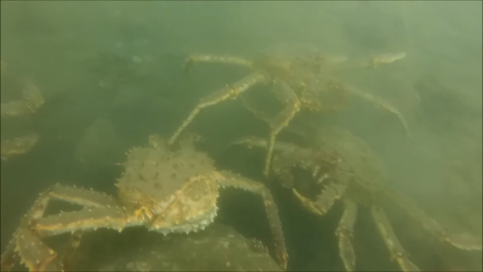 ��������� �� ������� ����� �������� �����������. �������� ��� �����.