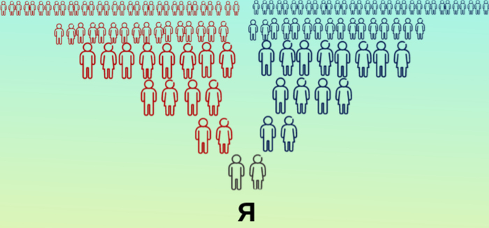 "���� �������" - ���� ���������