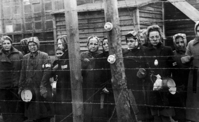 ������ �����������.