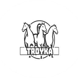 TroykaDice
