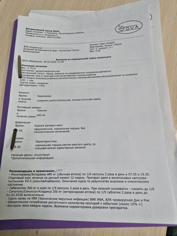 Прописано лечение