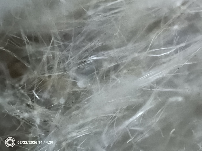 ����� ����� �����