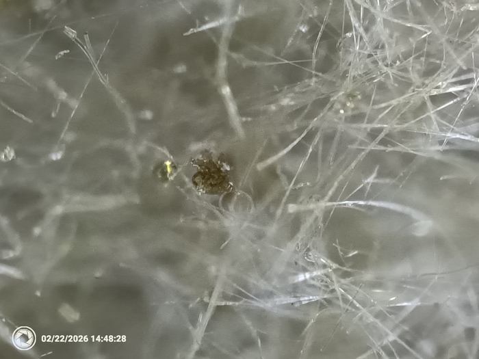 �� ������ � �����