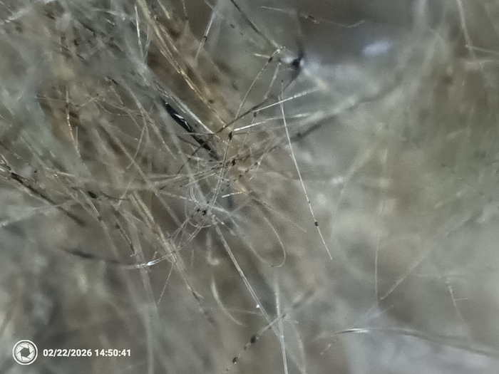 ����� ����� �����