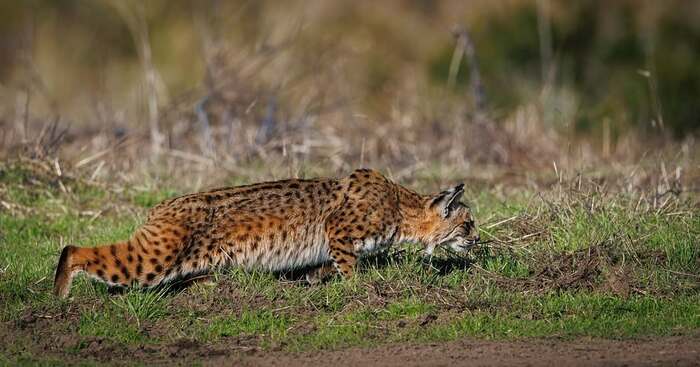 ������ �������? � ��� �����