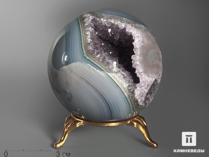 ���� ����� ����� � ������