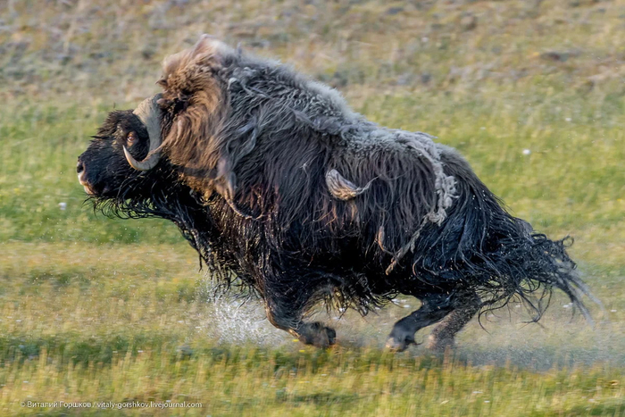 ������ ������� �� ����? ��� ������ ��� ����� ������. ������� ���������� ��� �� ����� �������� ������. � ���� ������ �����, ��� �������� ������ ��� ������, �������� �������� ��� � ������������ ��� ��� ����, ����� ������� �� ���� �����.