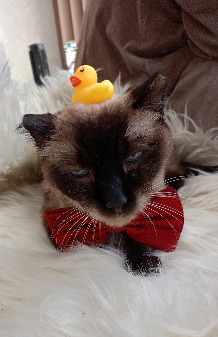 ������ �� ����� �����������������) 