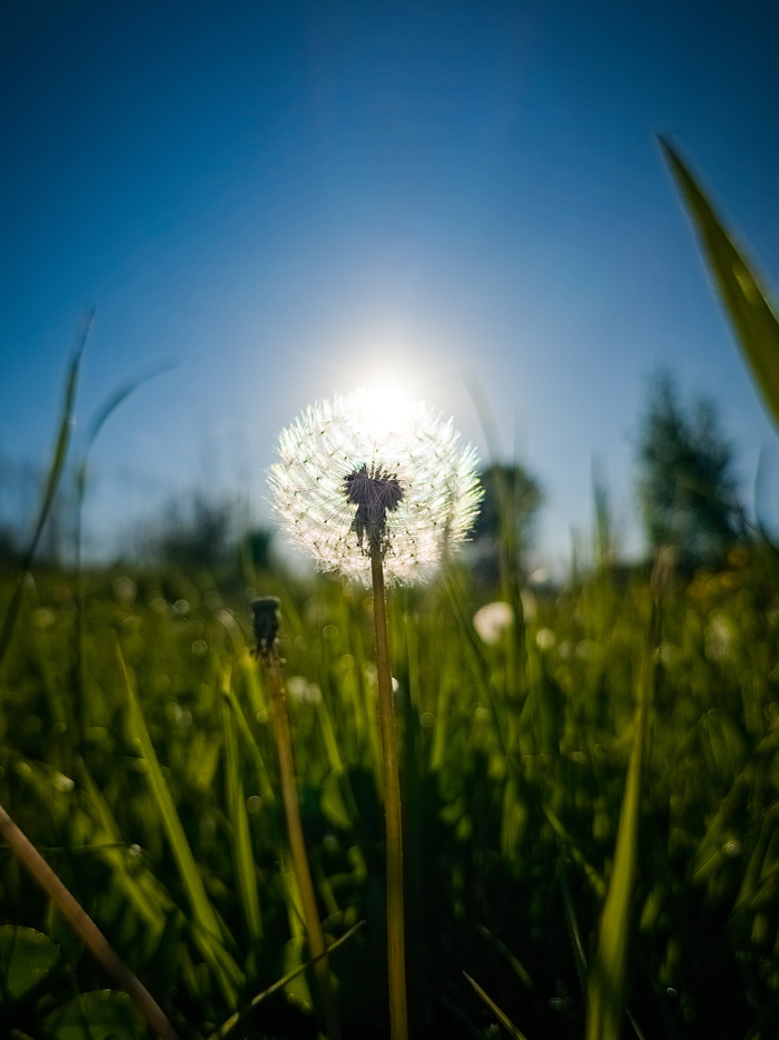 ��������� ���������