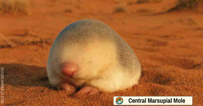 ���������� ��� � ������ �������� ������������ �������������, ������� ����� ����� � ������������� �������.