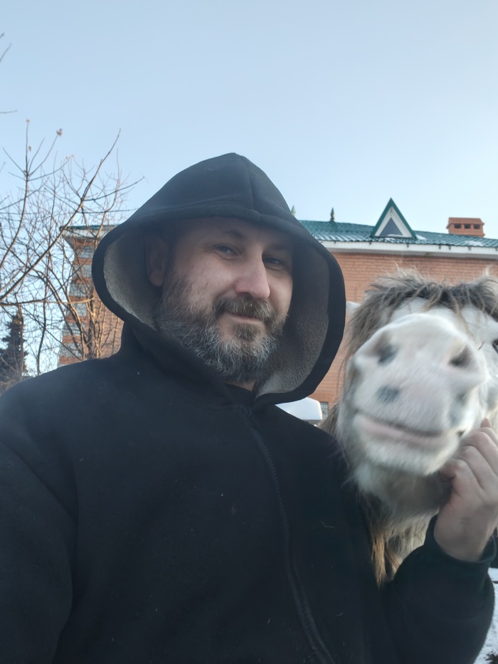 ������ - �������� ����