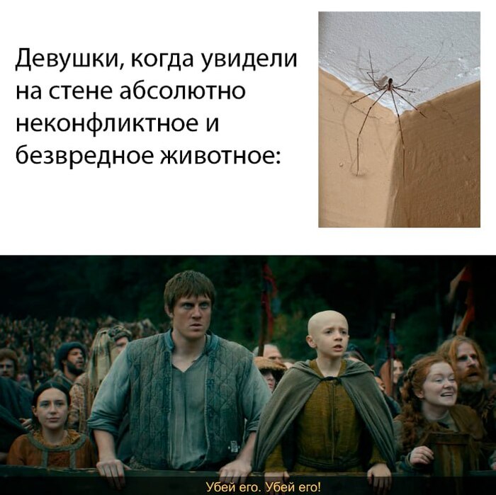 �� ���� �������