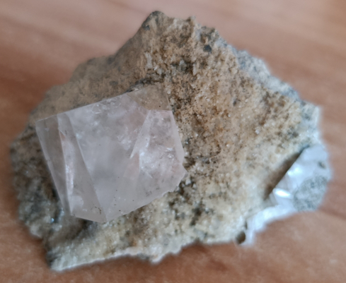 ���� �������� ����������