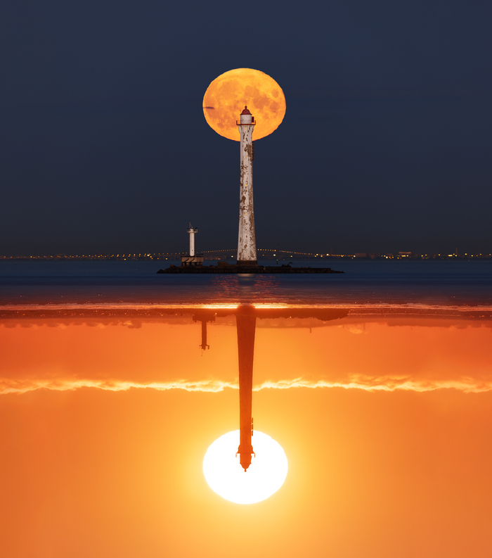 Вот отсюда снимал - 59.984857, 29.694689, вот в эти дни снимал - 01.03.23 и 10.09.22, вот на это снимал Canon R5 + Sigma 150-600 Sports / Canon 100-500 RF, вот в этом делал коллаж их двух фотографий - Photoshop, вот на этом мнение хейтеров вертел - }{уй.