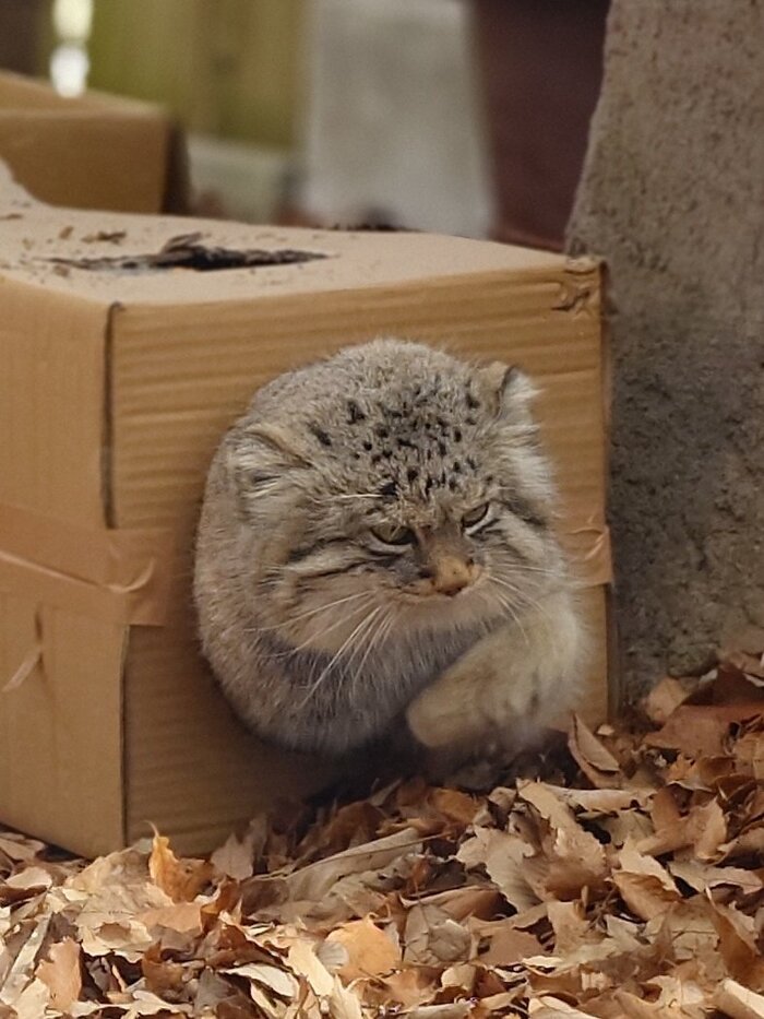 Это все потому, что у кого-то слишком узкие двери