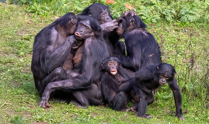 ���� ������, ��� �� ������? �������������!