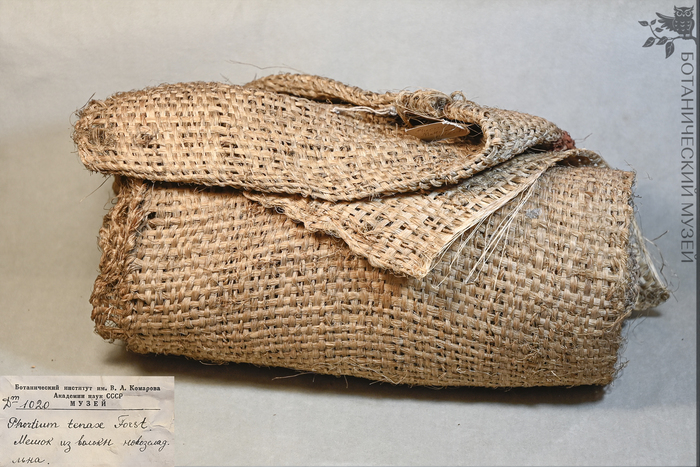 ����� �� ��������������� ����. ����� ������������� ����� ��� ���.