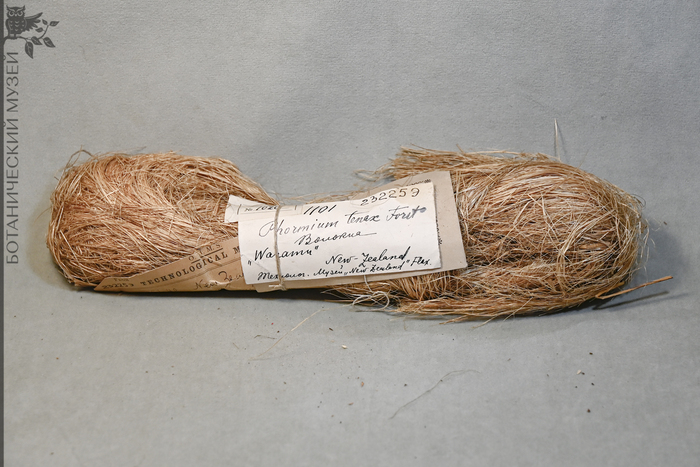 ������� �Waramu� �� ��������������� ����. ����� ������������� ����� ��� ���.