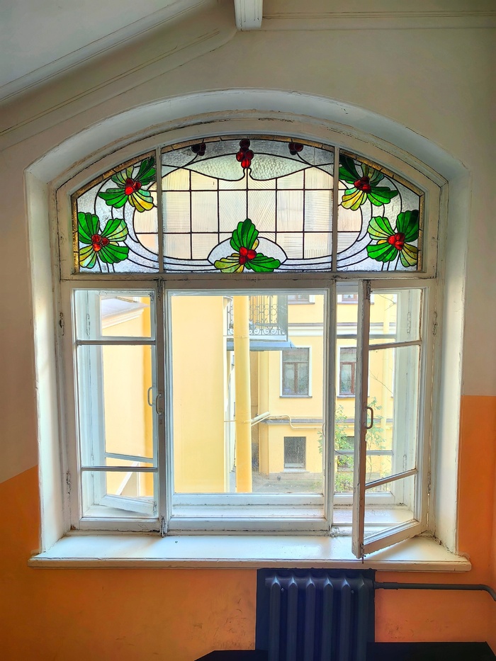 Орешник с зелеными листьями и коричневыми плодами. Фото А. Шаталкина.