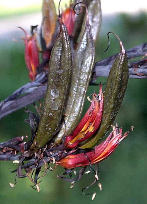 ����� � ����� �������� ��������. ���� � ����� <!--noindex--><a href="https://pikabu.ru/story/novozelandskiy_lyon_13732192?u=http%3A%2F%2Fmolbiol.ru&t=molbiol.ru&h=e51ae933f486bf6be10eb7462c226dc77cbf494c" title="http://molbiol.ru" target="_blank" rel="nofollow noopener">molbiol.ru</a><!--/noindex-->