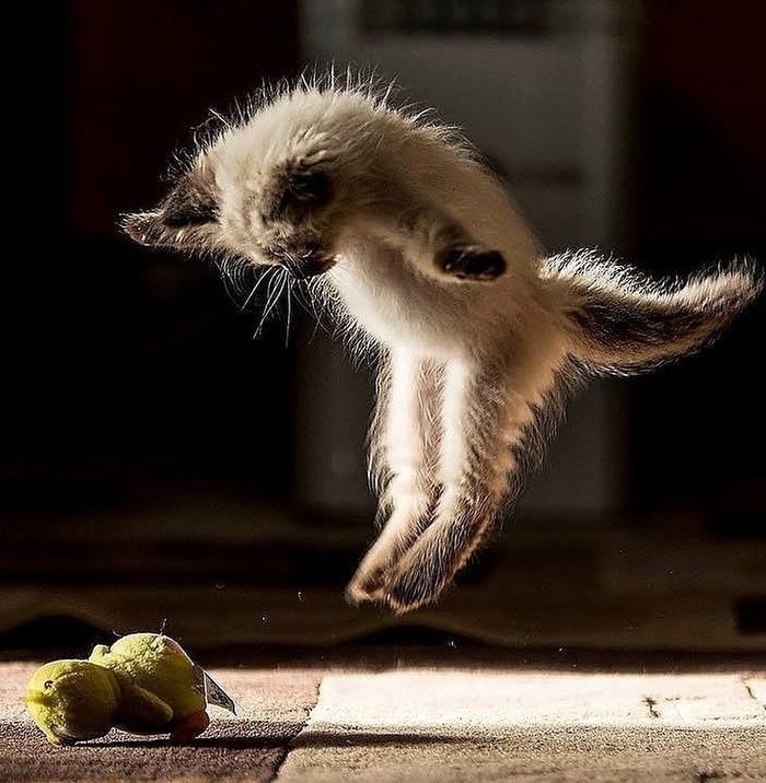 ����� ��������� ������: ������ ����������� ��� ������ �� ����� �������, ������� ������ ��� ������� � ��������� � ��������� � ������?