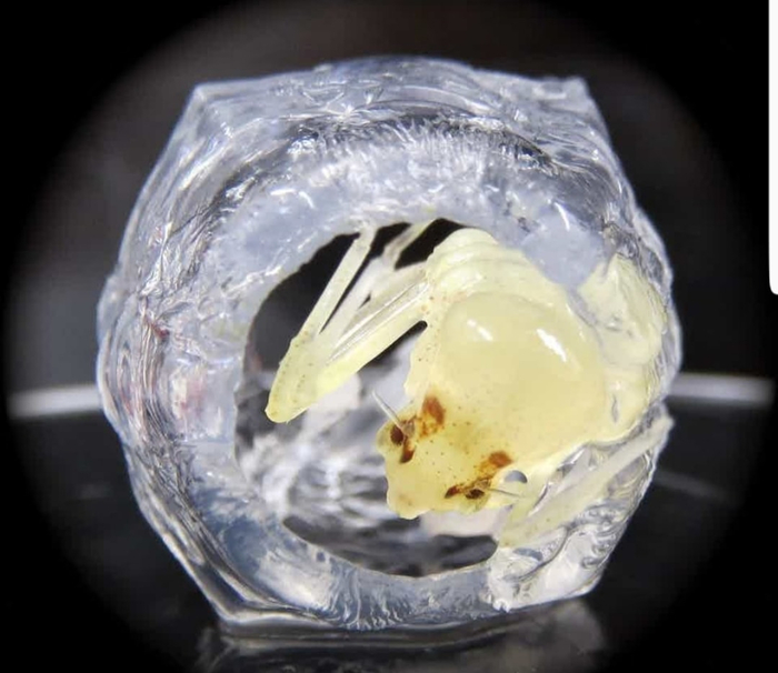 ����� ������� �����: �������� � ������. � ����� ������ �� ���� ���� ���-�� ��� ��� ���������.