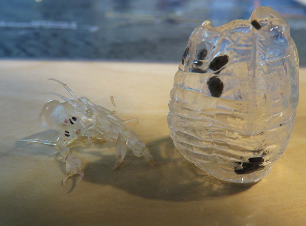 ������� �� ���� �������� ������ ��������. � �� ����� � ������ ������, ����� ������ �� �����! �� ���� ���� ��� ��� ������� � ��� �����, ������� �� ������ �� ���� ��������� ������...