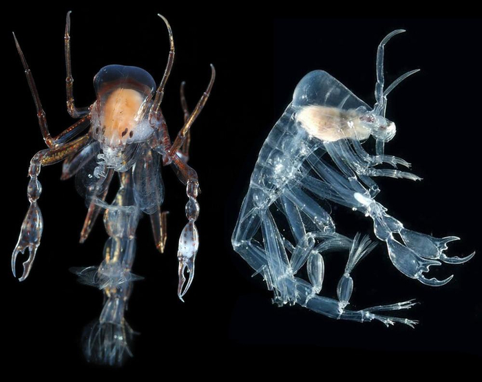 ����, ��������� � ��������: 100. ����, ��������� � ����, ����� � ��������: 0.