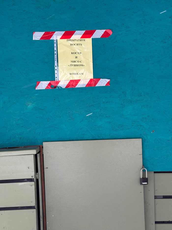 �� ����� ���