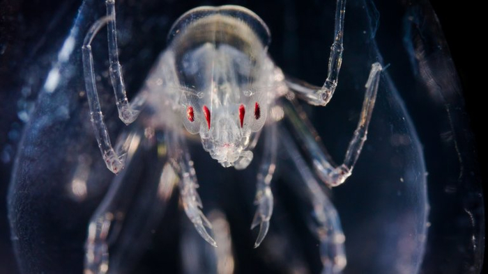 � � ������ �� ������� �� ���� ������. � ������� ��������, �� �������!