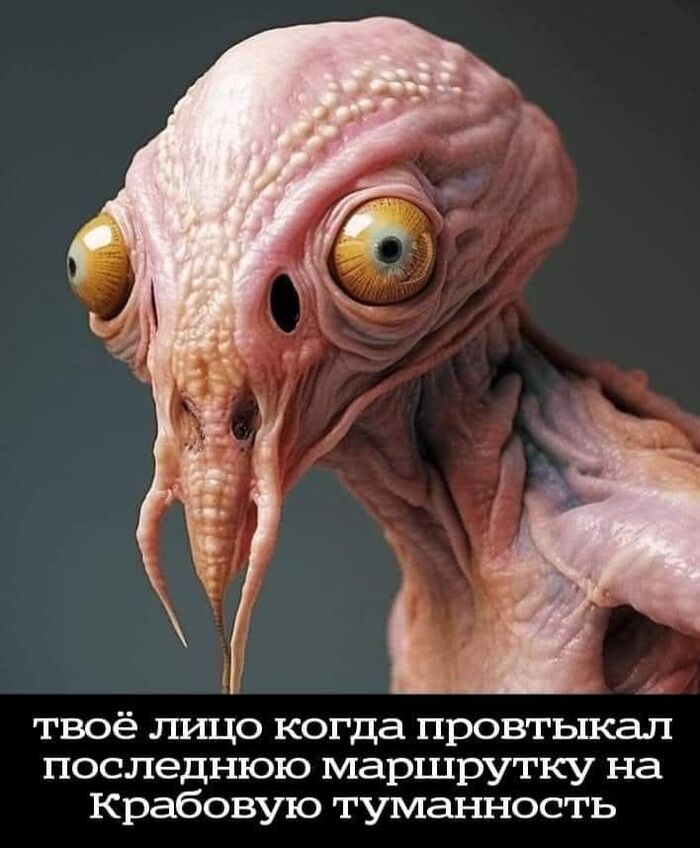 ������� �� �����!