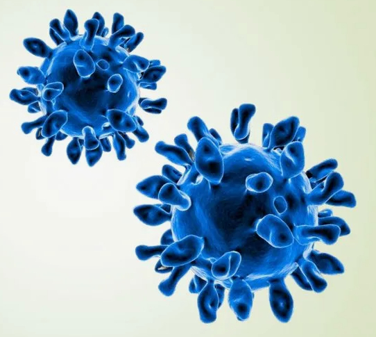 ��� ����� ������? (����� 4)