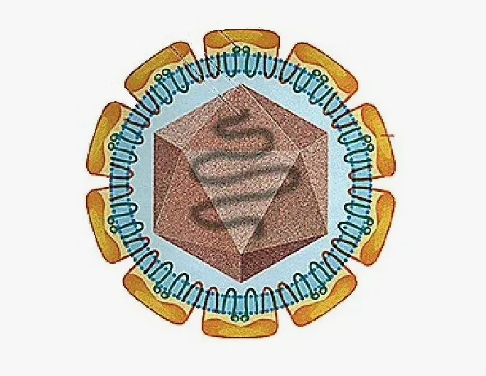 ��� ����� ������? (����� 4)