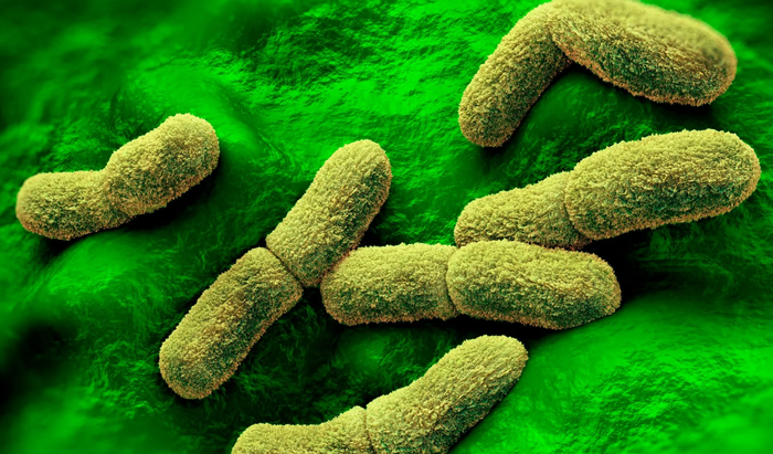 ��� ����� ������? (����� 4)