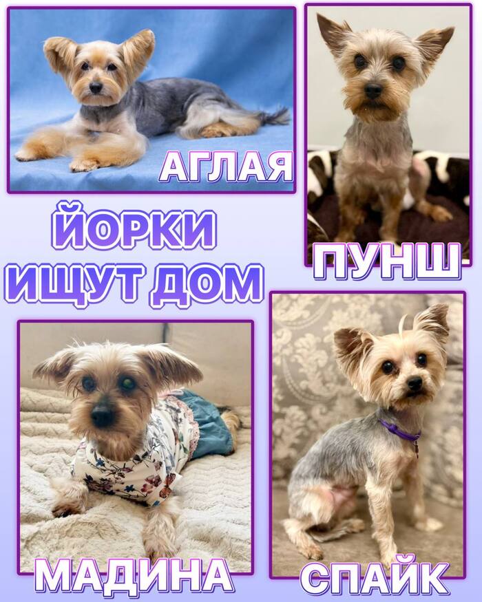 ����� ���� ���